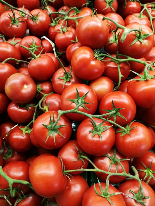 what-is-the-italian-word-for-tomato-trivia-joy