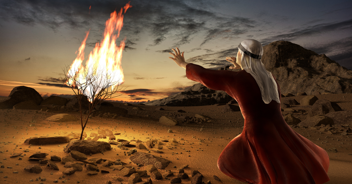 in-the-book-of-exodus-who-did-the-burning-bush-appear-before-trivia-joy